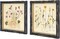 Summer Botanical Wall Decor Set of 2, Vintage Botanical Prints Wooden Framed Floral Plant Pictures, Poster Decor for Bathroom, Bedroom, Living Room, and Office, 10x10 Inch